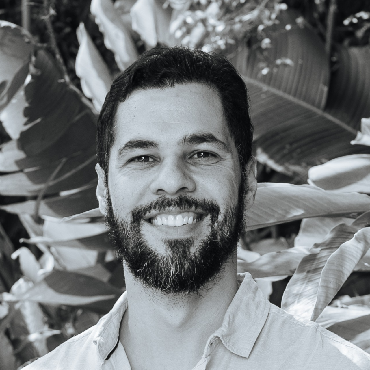 Flavio Reis