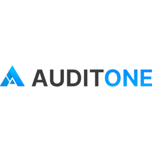 AuditOne GmbH