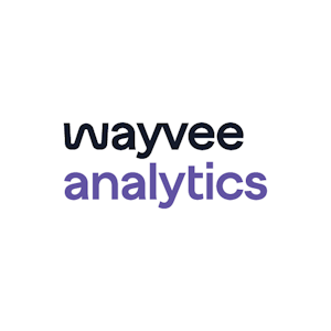 Wayvee Analytics