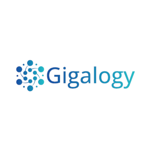 Gigalogy
