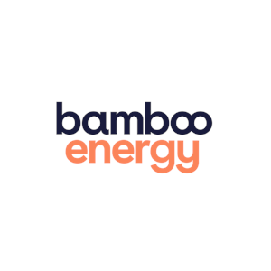 Bamboo Energy Platform SL