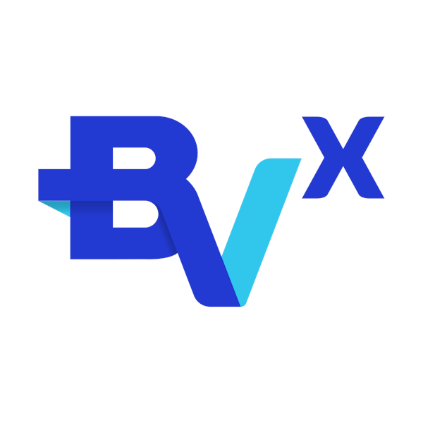 BVx - Innovation ecosystem and digital partnerships of Banco BV