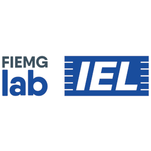 FIEMG Lab - Open innovation hub